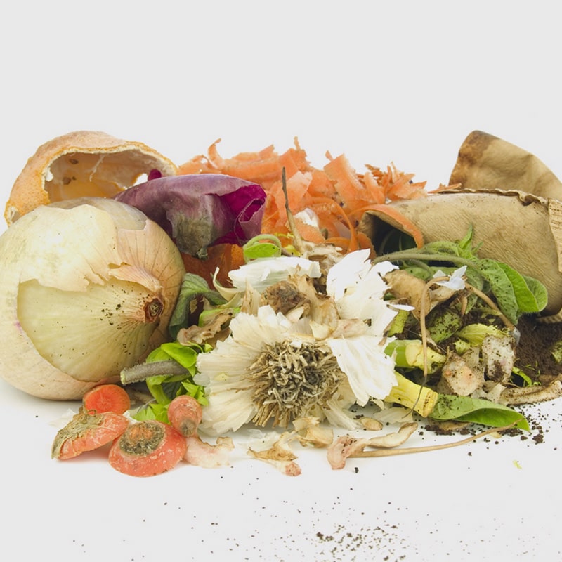  A pile of organic kitchen scraps and composting materials on a white background, including an onion skin, carrot scraps, a purple cabbage piece, green leaves, a white flower, and brown paper bags. Organics, (like kitchen food waste) along with leaf and yard waste, can all be collected and composted.