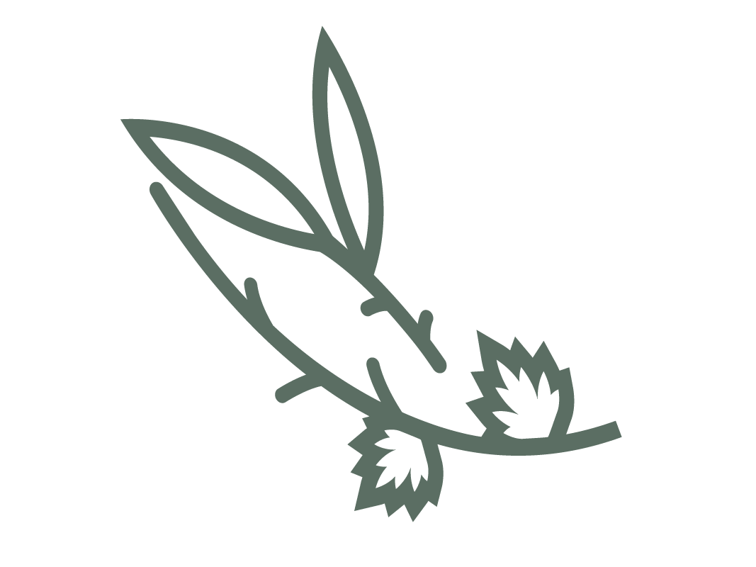 Leaf and yard collection