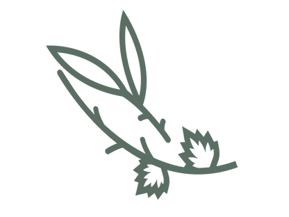 Leaf and yard collection
