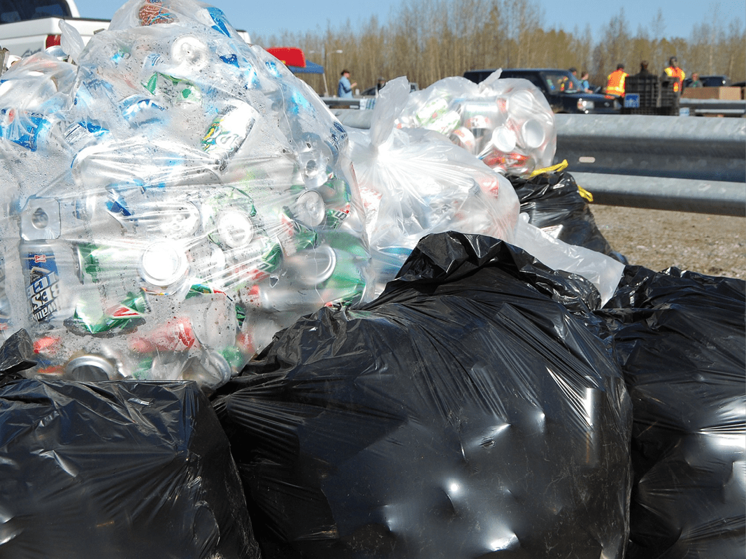 Waste stream audit