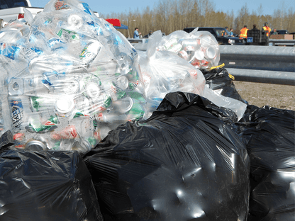 Waste stream audit